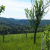 Wanderung Firstweg Schienerberg